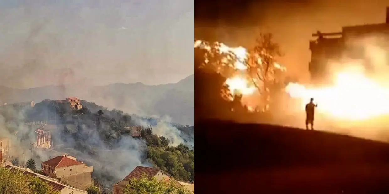 Feux de forets : arrestation de 22 présumés pyromanes dans 5 wilayas