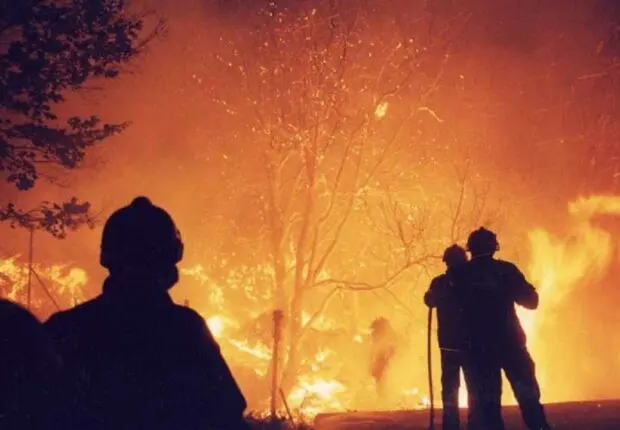 Protection civile : les flammes ravagent plusieurs wilayas