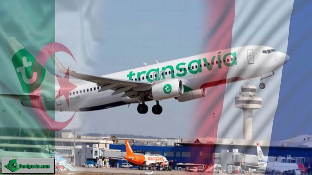 Vols France – Algérie : de nouveaux vols ajoutés chez Transavia