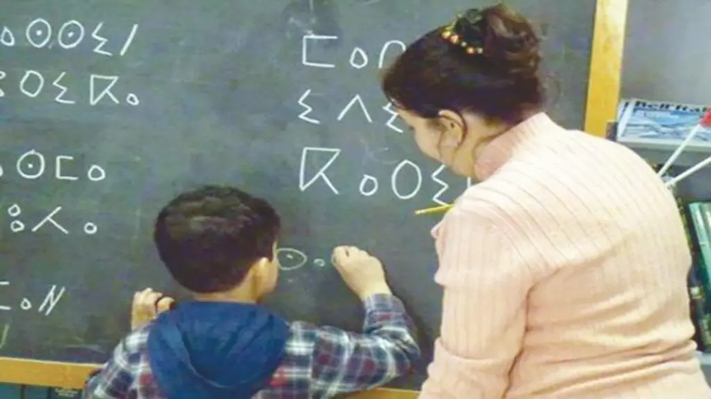 Enseignement de Tamazight : la polémique enfle, le ministère rassure