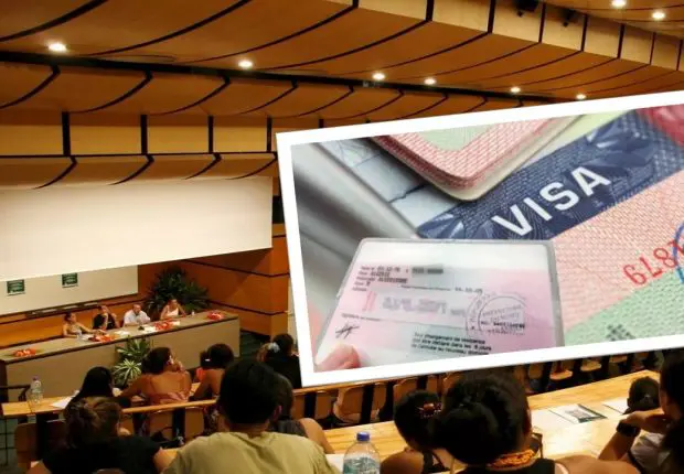 Études en France : les chiffres alarmants de la fuite des cerveaux