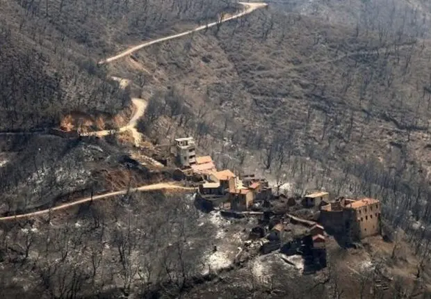 Dégâts des incendies à Tizi Ouzou : un premier bilan arrêté