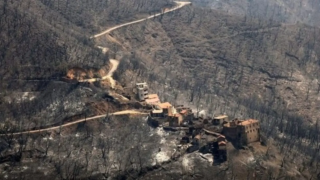 Dégâts des incendies à Tizi Ouzou : un premier bilan arrêté