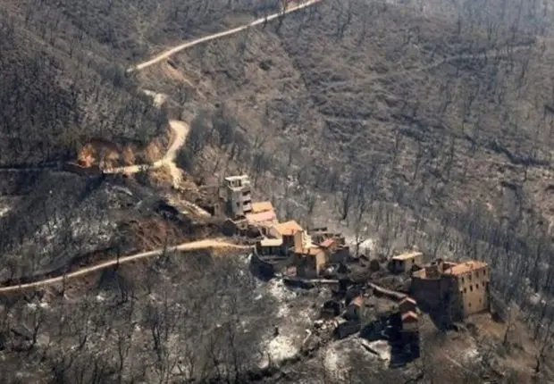 Dégâts des Incendies : le ministre de l’agriculture s’exprime