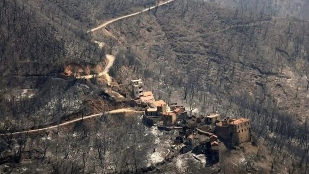 Dégâts des Incendies : le ministre de l’agriculture s’exprime