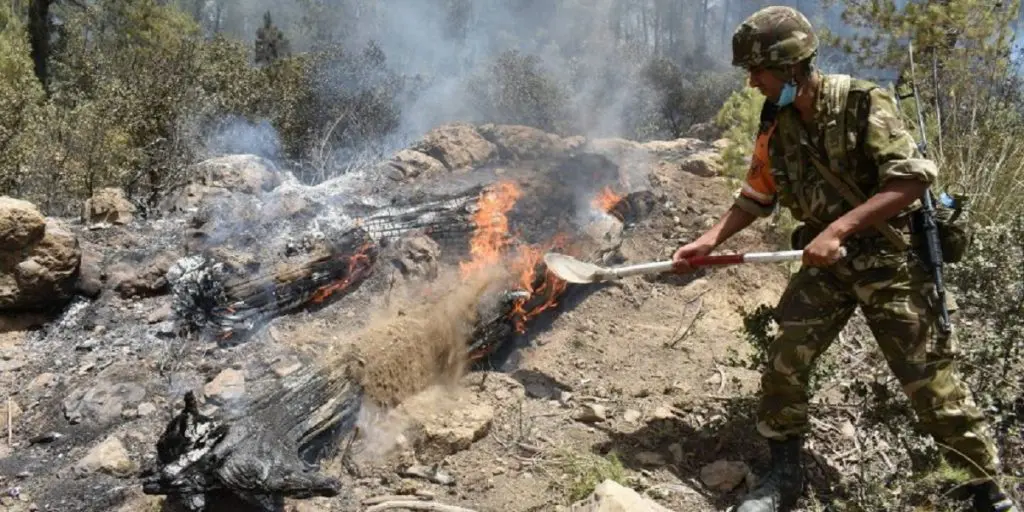 Incendies en Algérie : El Tarf et Bouira ravagés par les flammes