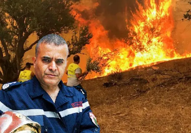 Feux de forets en Algérie : enfin des bonnes nouvelles