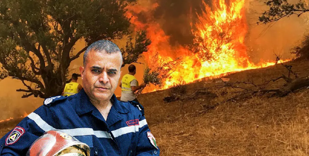 Feux de forets en Algérie : enfin des bonnes nouvelles