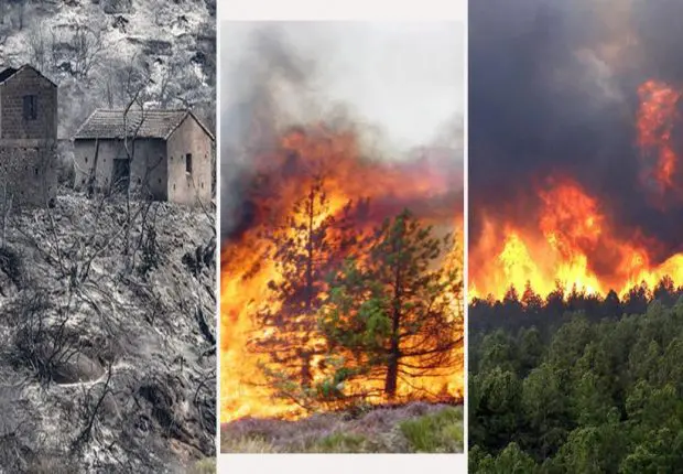 Feux de forêt : vers l&rsquo;indemnisation à 100% même pour les non-assurés