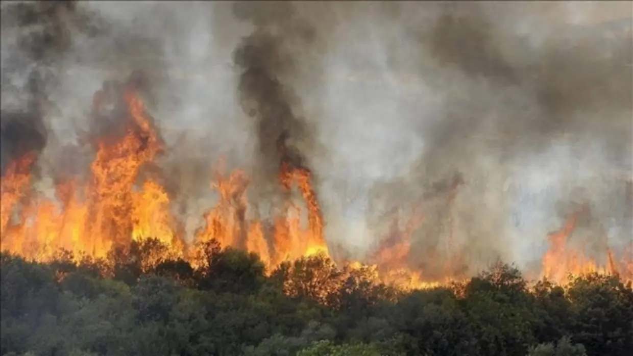 Deux nouveaux incendies se déclarent à Bouira et Tipaza