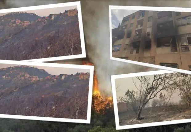 Tizi Ouzou : les chiffres effarants des premiers bilans des dégâts