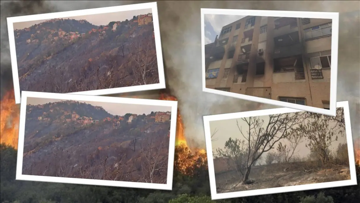 Tizi Ouzou : les chiffres effarants des premiers bilans des dégâts