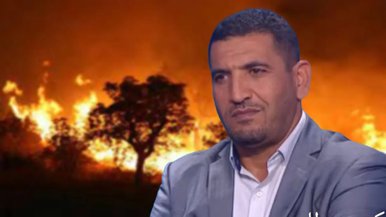 Feux de forêt, solidarité, meurtre de Djamel : Tabbou livre sa lecture