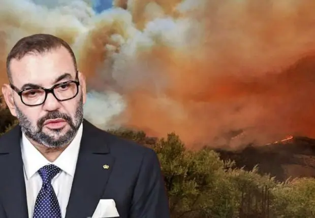 Incendies de forêt : le Maroc veut apporter son aide à l’Algérie