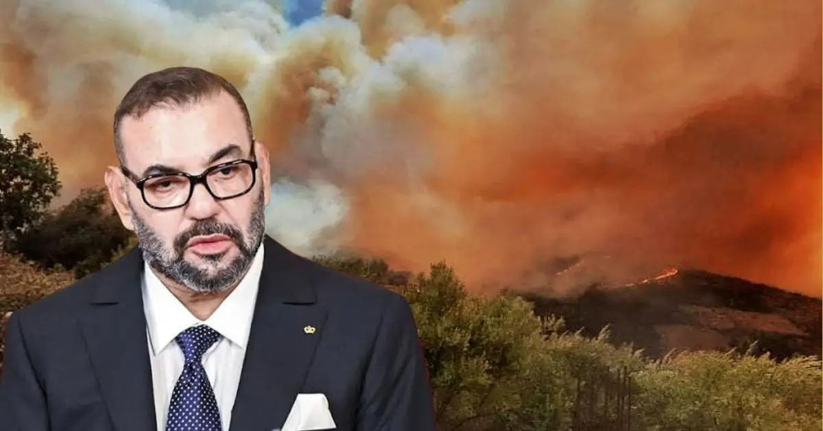 Incendies de forêt : le Maroc veut apporter son aide à l’Algérie