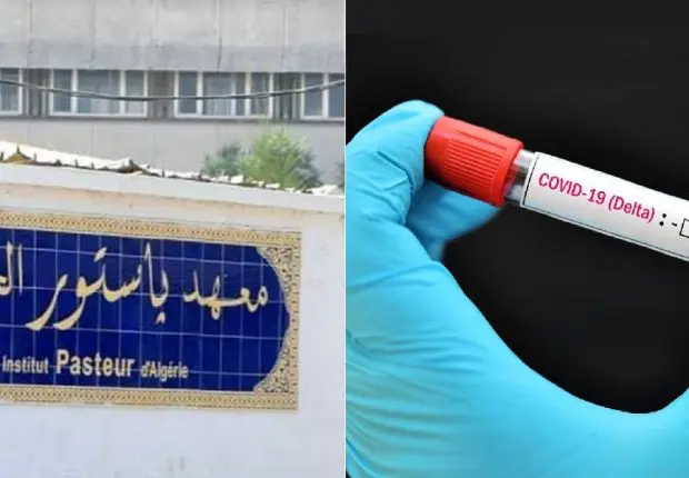 Variants Covid-19 en Algérie : le sombre bilan de l’institut pasteur