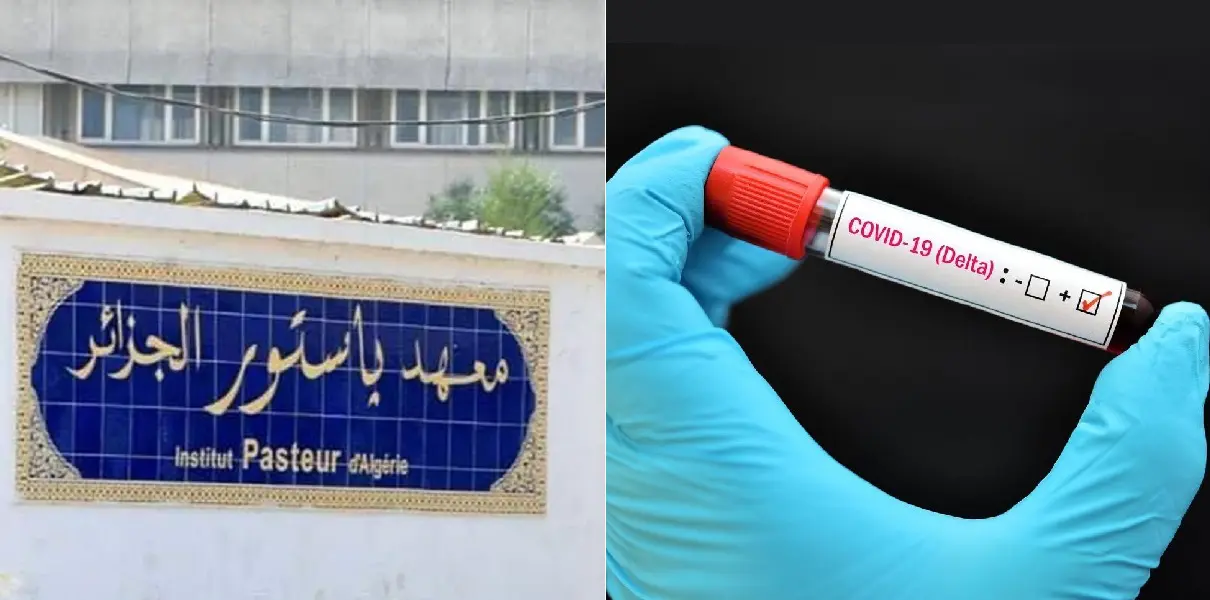Variants Covid-19 en Algérie : le sombre bilan de l’institut pasteur