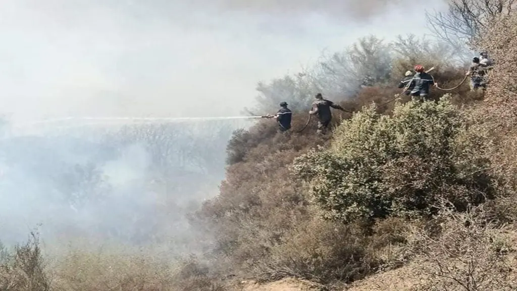 Feux de forêt : le bilan des dernières 24 heures (protection civile)