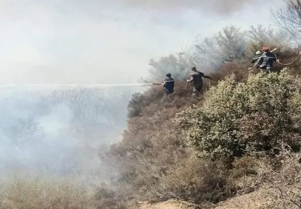 Feux de forêt : le bilan des dernières 24 heures (protection civile)
