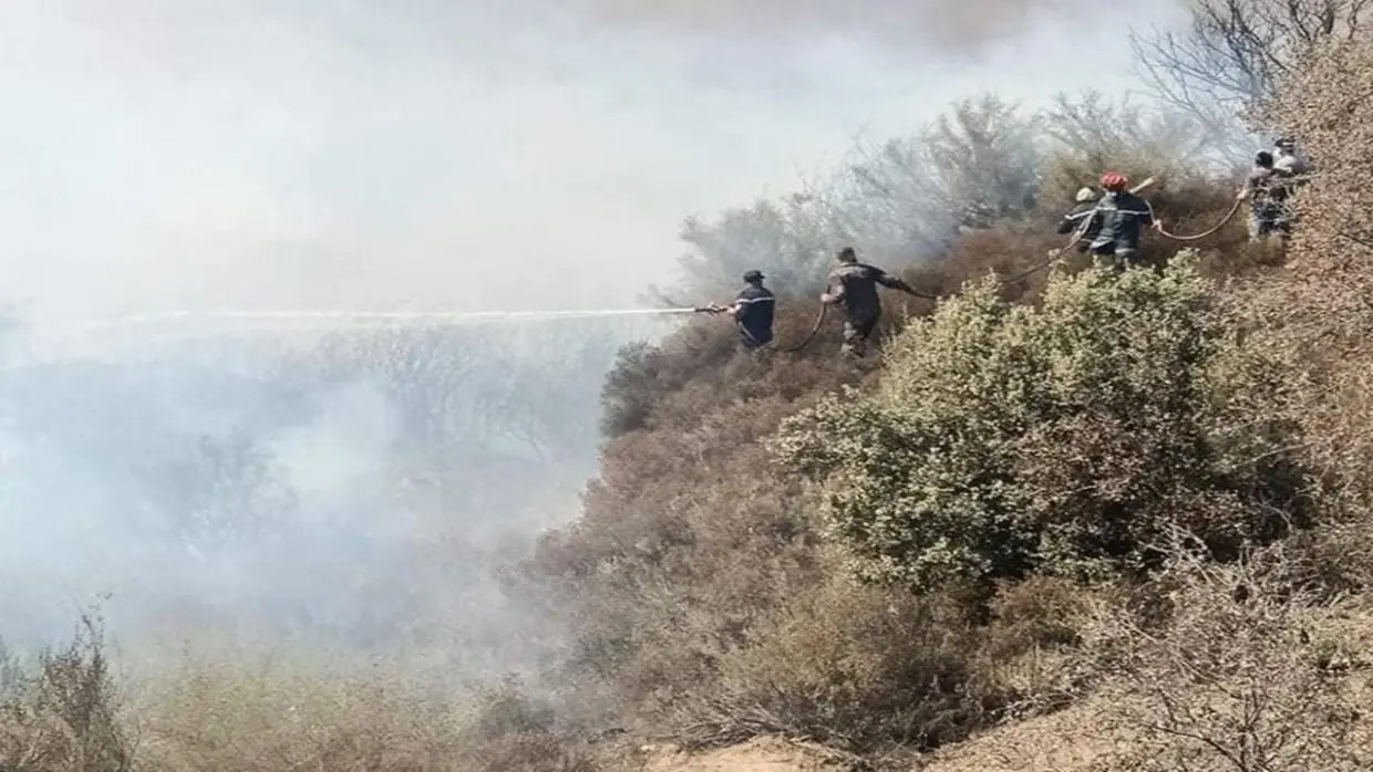 Feux de forêt : le bilan des dernières 24 heures (protection civile)