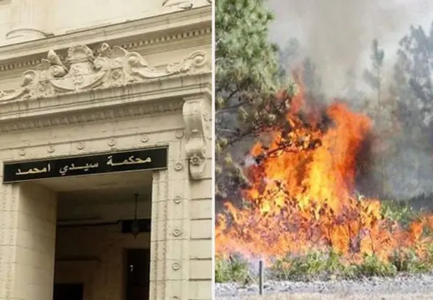 Incendies à Tizi Ouzou : 6 suspects devant le tribunal de Sidi M’hamed