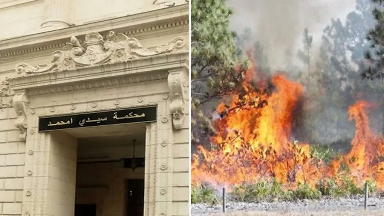 Incendies à Tizi Ouzou : 6 suspects devant le tribunal de Sidi M’hamed