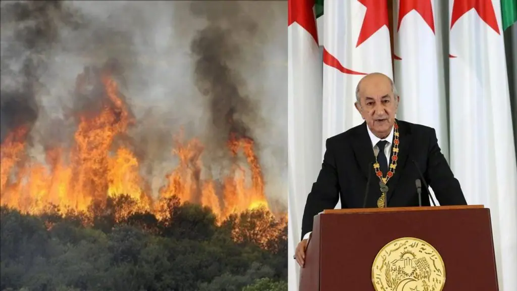 Feux de forêt : Tebboune installe la commission d’indemnisation