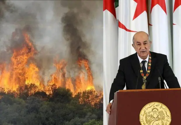Feux de forêt : Tebboune installe la commission d’indemnisation