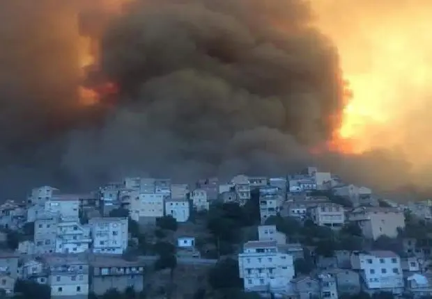 Tizi Ouzou et Sétif : les feux de forêts font plusieurs morts