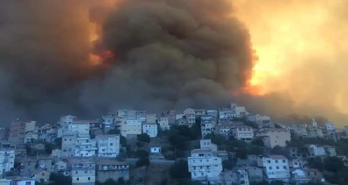 Tizi Ouzou et Sétif : les feux de forêts font plusieurs morts