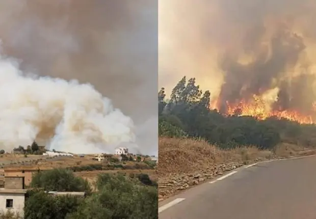Tizi Ouzou : 8 communes ravagées par des feux de forêts