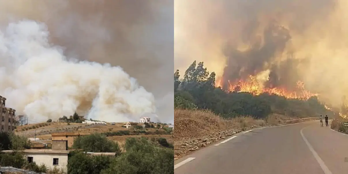 Tizi Ouzou : 8 communes ravagées par des feux de forêts