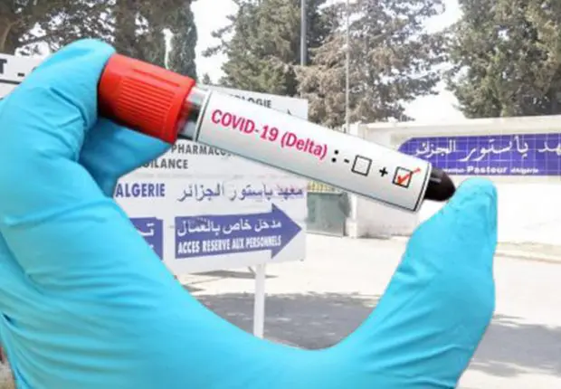 Covid-19 en Algérie : le taux de contamination au variant Delta dévoilé