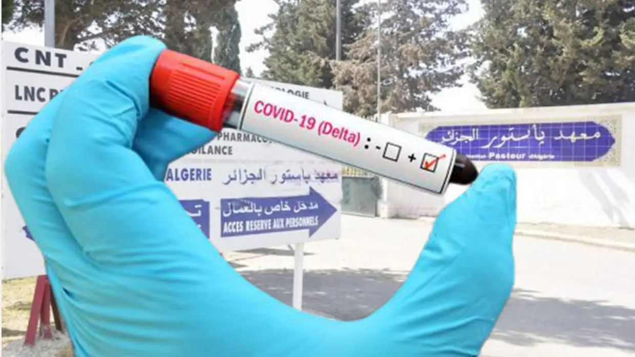 Covid-19 en Algérie : le taux de contamination au variant Delta dévoilé
