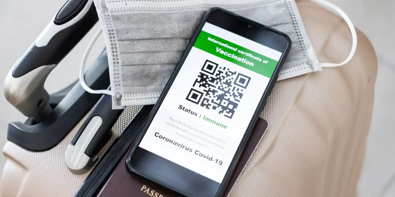 France : un pass sanitaire pour les expatriés vaccinés en Algérie ?