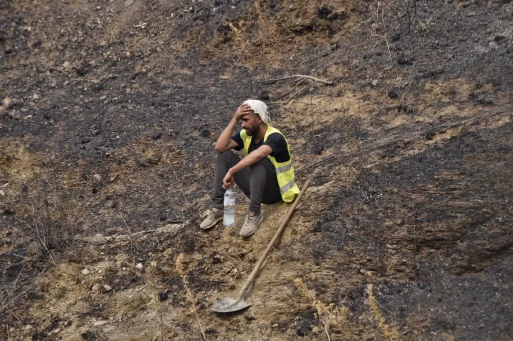 Incendies en Algérie : appels à lever le voile sur « la vérité »