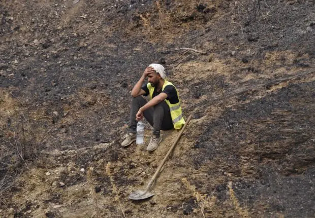 Incendies en Algérie : appels à lever le voile sur « la vérité »