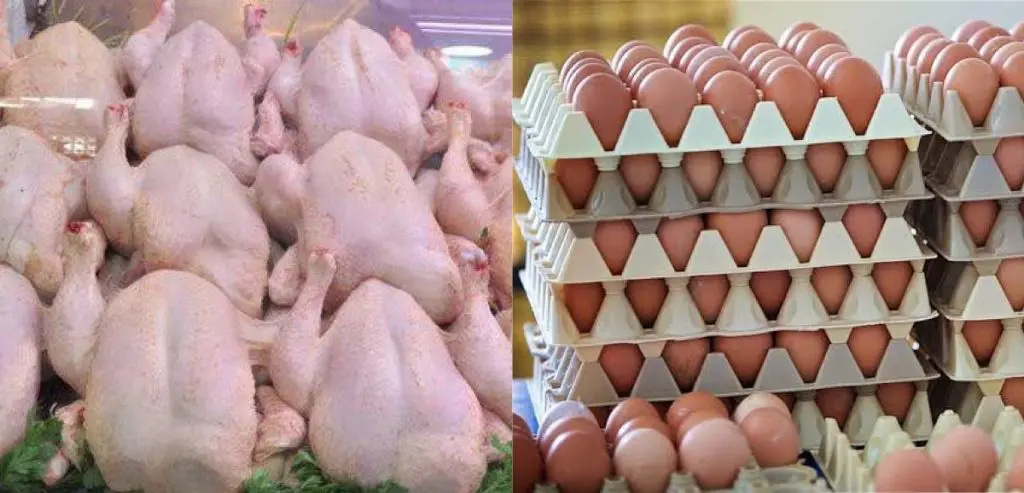 Hausse des prix : après le poulet, les œufs hors de portée