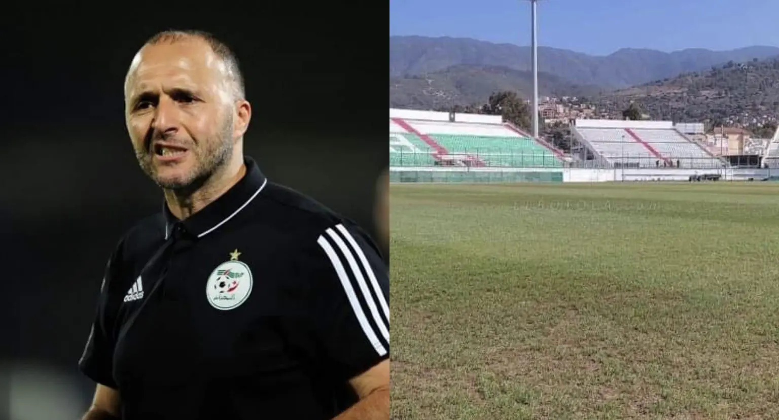 Affaire de la pelouse du stade Tchaker : le DJS de Blida limogé