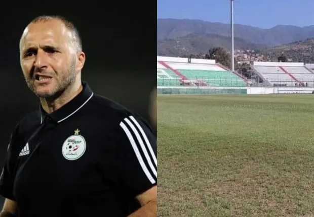 Affaire de la pelouse du stade Tchaker : le DJS de Blida limogé