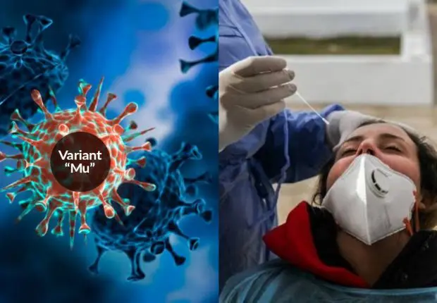 Covid-19 : le variant Mu est-il plus dangereux que le Delta ?