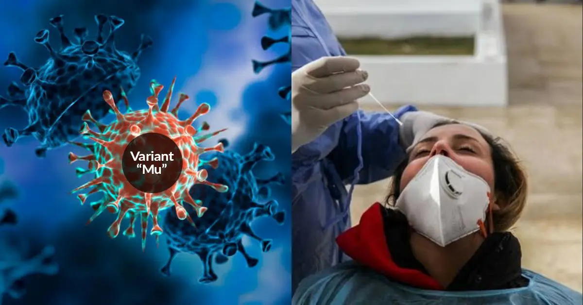 Covid-19 : le variant Mu est-il plus dangereux que le Delta ?