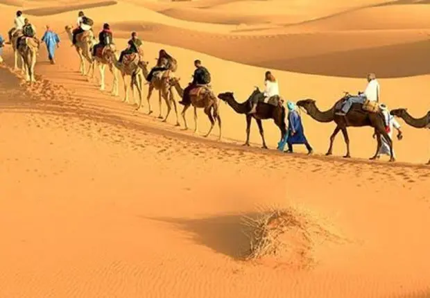 Quelles sont les raisons qui « bloquent » le tourisme saharien ?