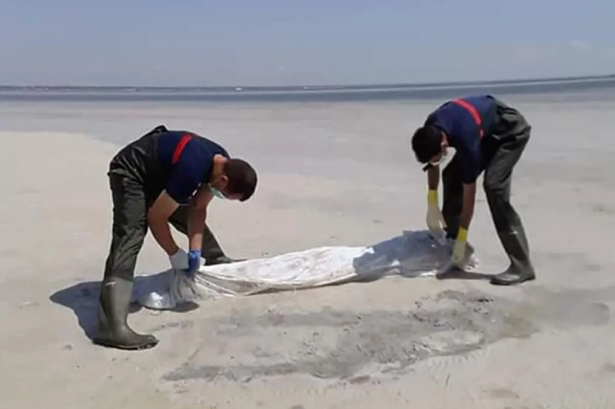 Des cadavres de harraga, dont celui d’un enfant repêchés en Espagne