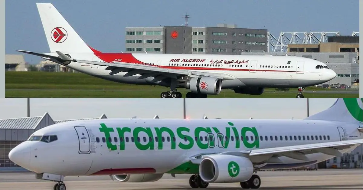 Pourquoi Air Algérie et Transavia annulent les réservations de novembre ?