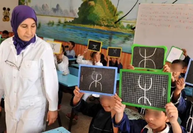 Polémique sur l’enseignement de Tamazight : le ministère se prononce