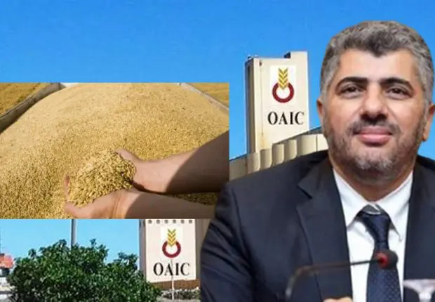 Les « magouilles ahurissantes » du groupe Amor Benamor