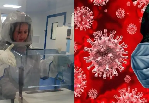 Origine du covid-19 : des chercheurs français font une nouvelle découverte