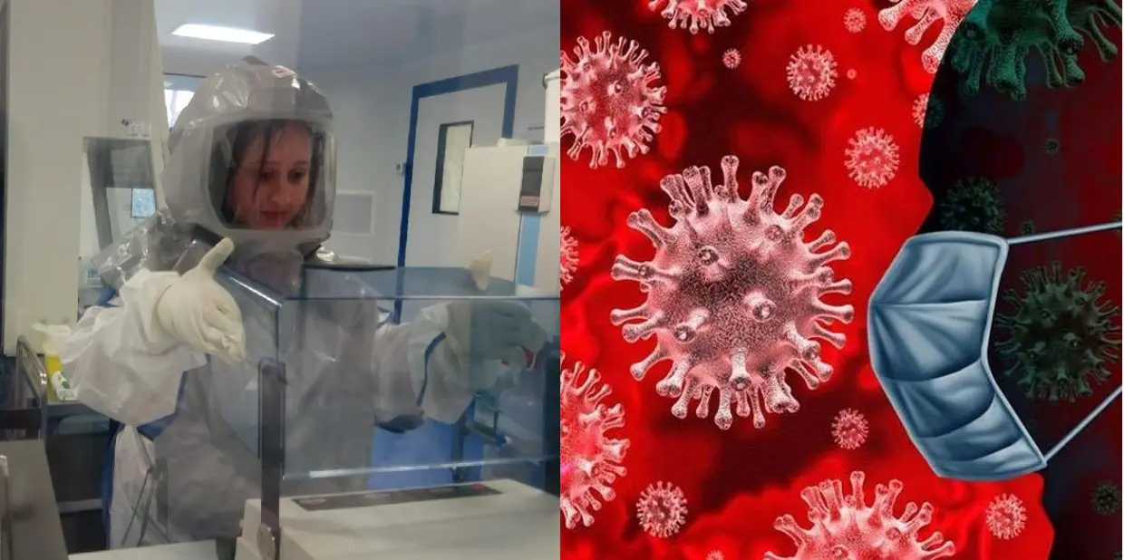 Origine du covid-19 : des chercheurs français font une nouvelle découverte