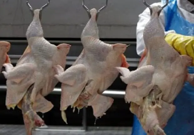 Prix du poulet : une campagne de boycott se dessine